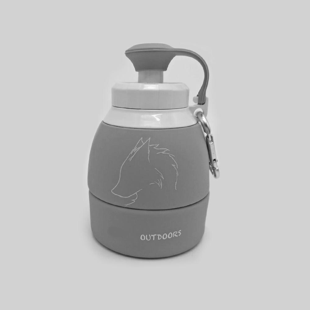 Collapsible Silicone Water Travel Bottles
